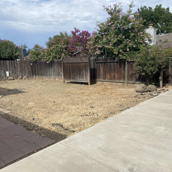 Yard Clean Out