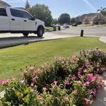 lawn maintenance/care