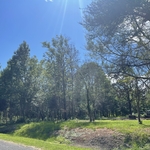 land