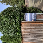 Hedge trimming