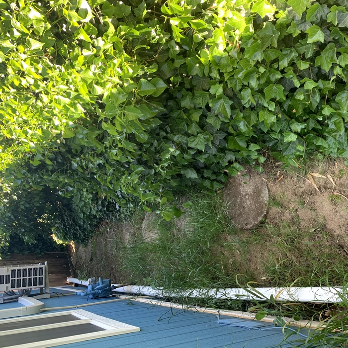 Hedge trimming