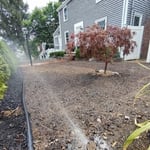 Rotary heads for newly seeded soil