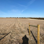 Barb Wire Fence Install