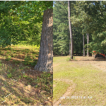 Brush and trees 8 inches or less removal