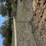Chain link