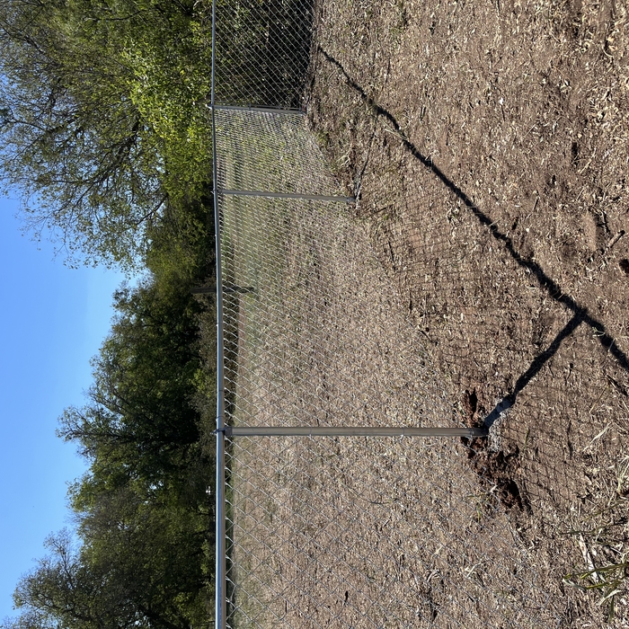 Chain link