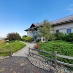 Yard Clean up and debris removal