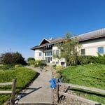 Trimming of the garden