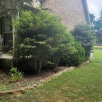 Landscape/pressure wash