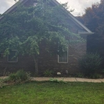 Landscape/pressure wash