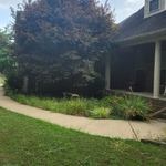 Landscape/pressure wash