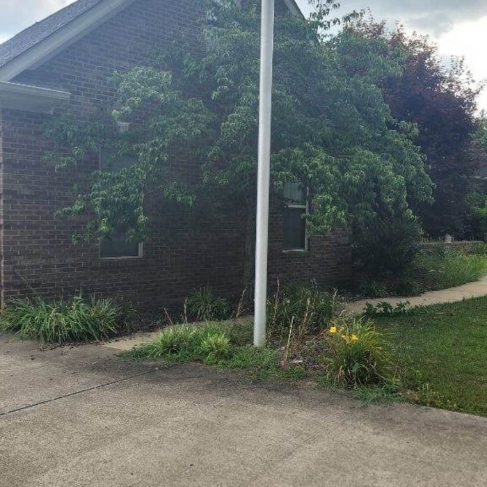 Landscaping before