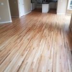 A beautiful common 2 red oak