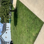Mowing
