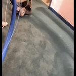 Deep Cleaning w/Rx 20
