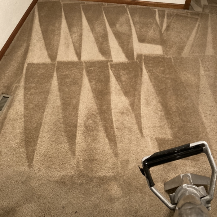 Carpet Cleaning