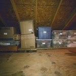 attic organization