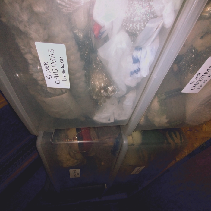 attic organization