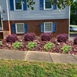 mark's landscaping