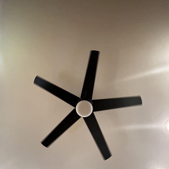 Ceiling Fan Replacement