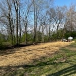 Tree Removal & stump