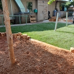 Front area
