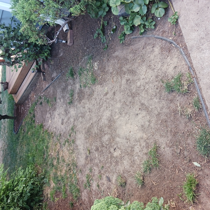 Before