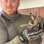 Raccoon Removal