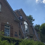 Squirrel Removal