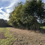 Mulching