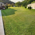 Grass