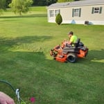 Grass