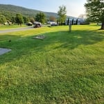 Grass