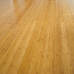 Gallery 1
