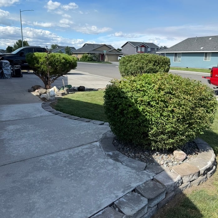 All 3 Shrubs Trimmed
