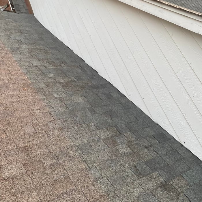 Past projects from us!
