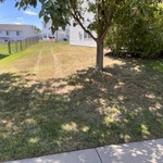 side yard