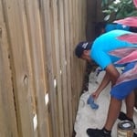 Plantation fence Staining