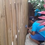 Plantation fence Staining
