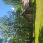 Southern Tree Solutions