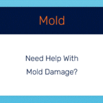 Mold Restoration