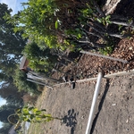 5' non-climb wire with H-brace and T-post