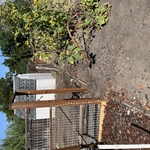 5' non-climb wire with H-brace and T-post