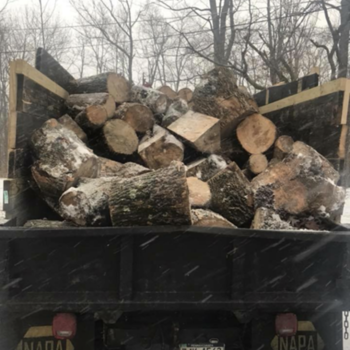 Tree removal