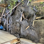 shingles