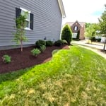 Mulching