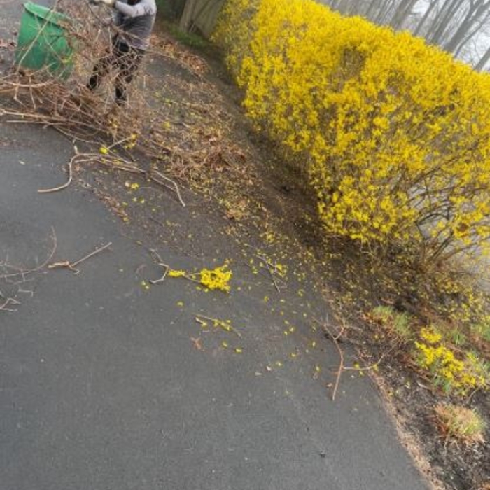Landscaping