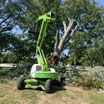 tree removal