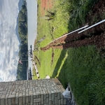 Irrigation Supply Line