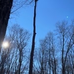Remp's Removals and Tree Trimming